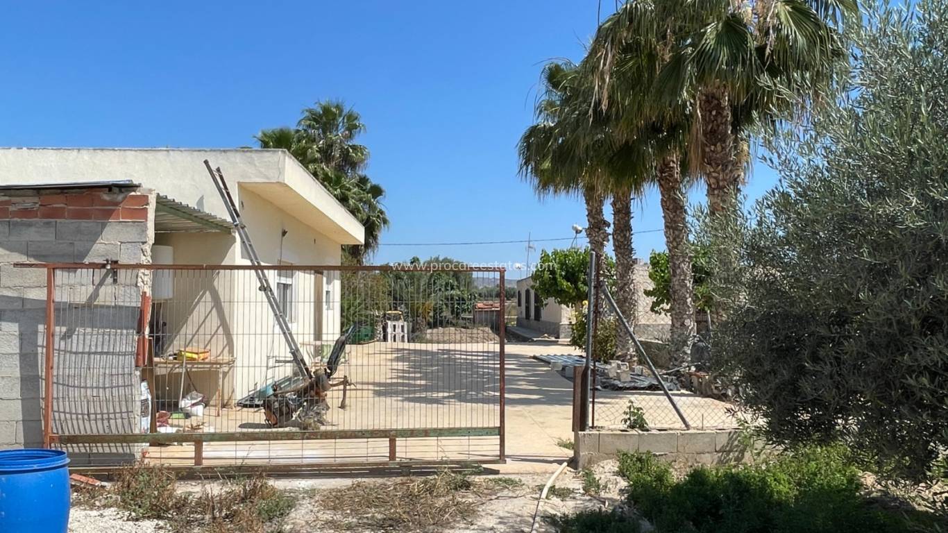 Reventa - Propiedad de campo - Crevillente