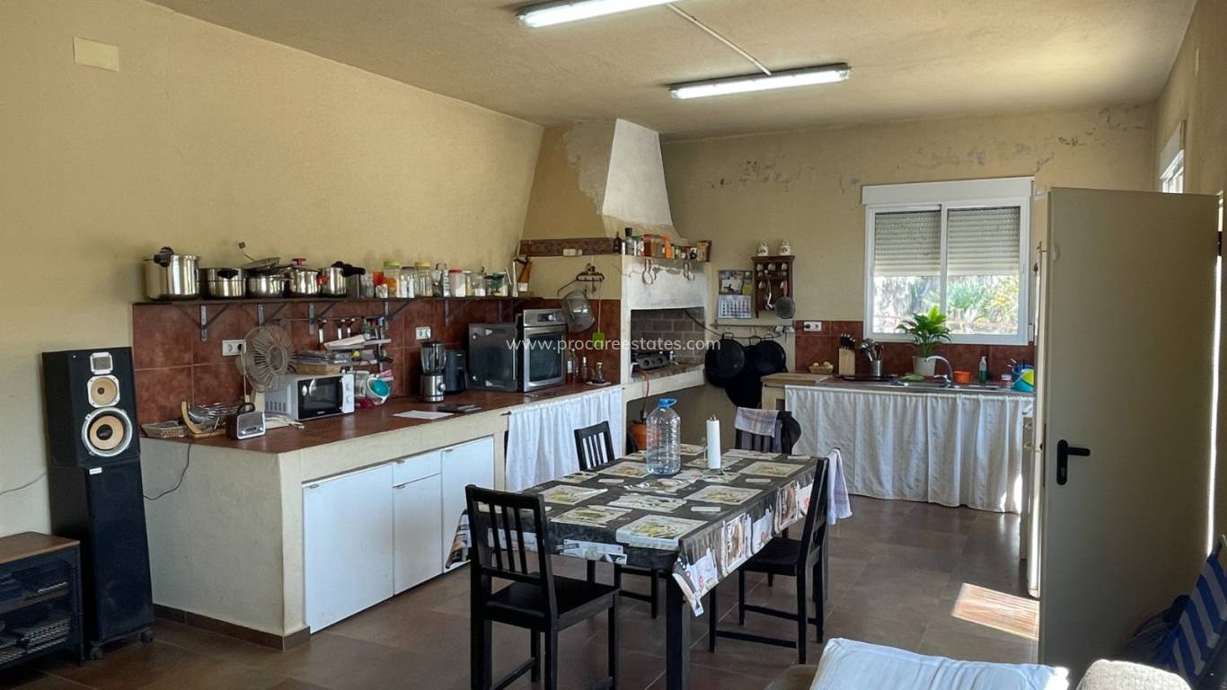 Reventa - Propiedad de campo - Crevillente