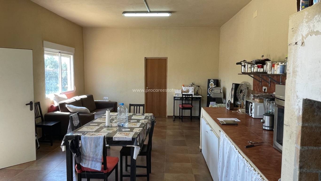 Reventa - Propiedad de campo - Crevillente