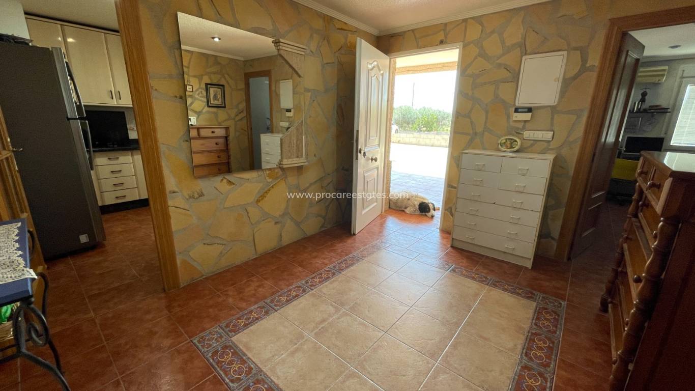 Reventa - Propiedad de campo - Crevillente