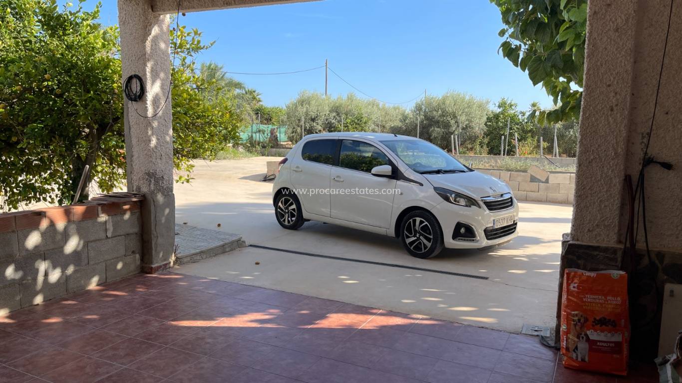 Reventa - Propiedad de campo - Crevillente