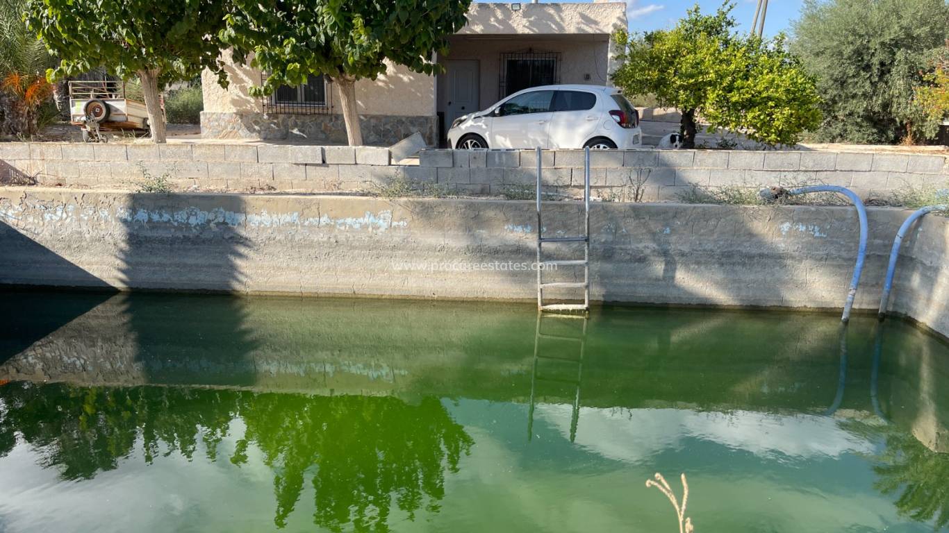 Reventa - Propiedad de campo - Crevillente