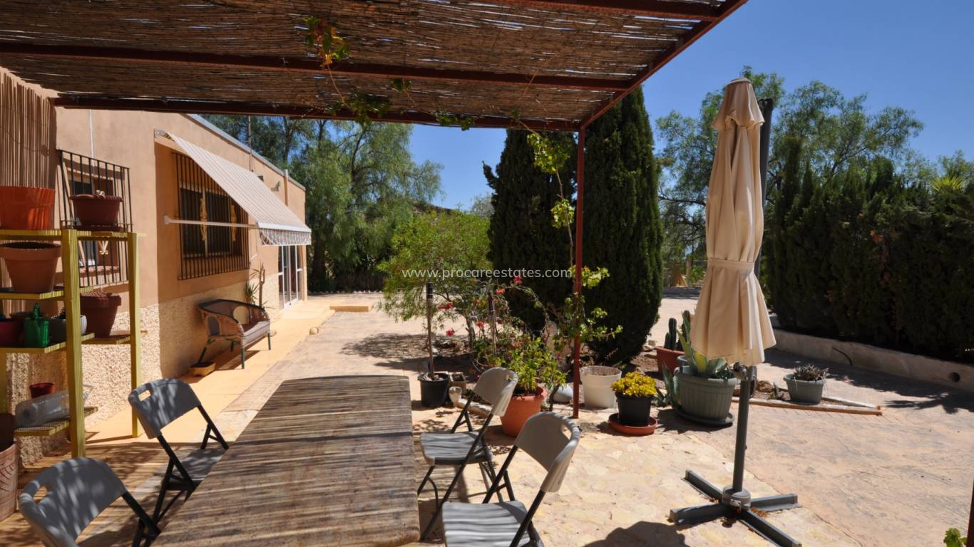 Reventa - Propiedad de campo - Crevillente