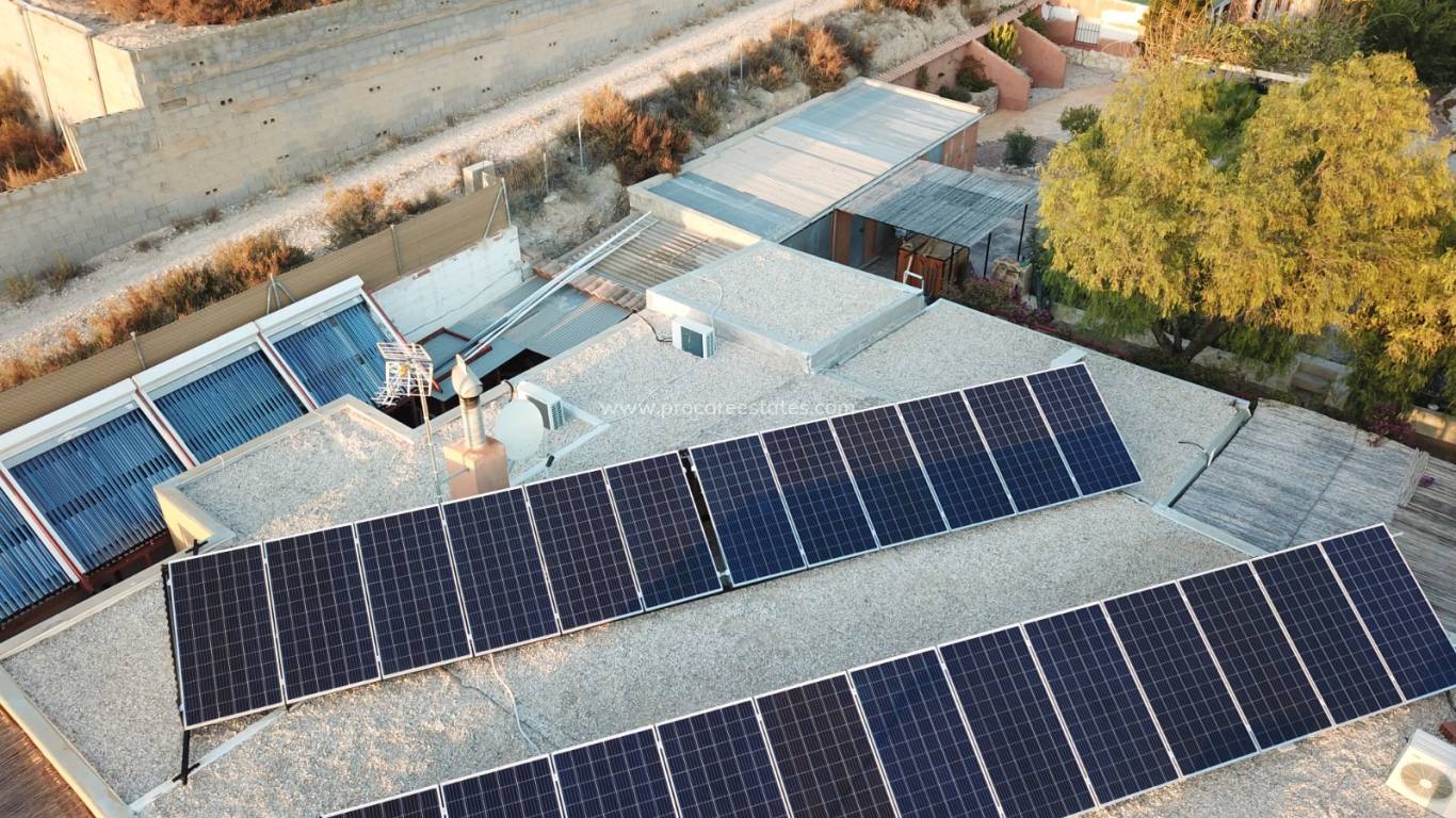 Reventa - Propiedad de campo - Crevillente