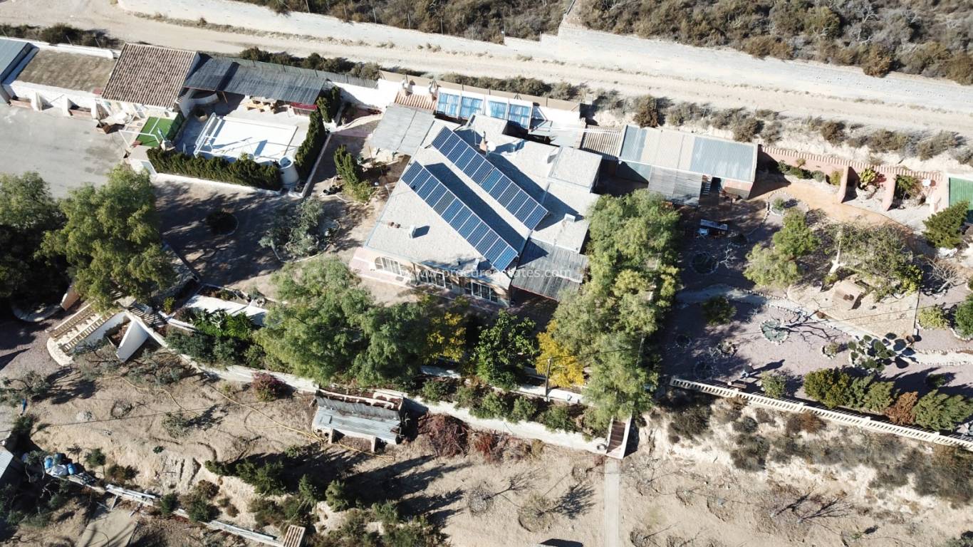 Reventa - Propiedad de campo - Crevillente