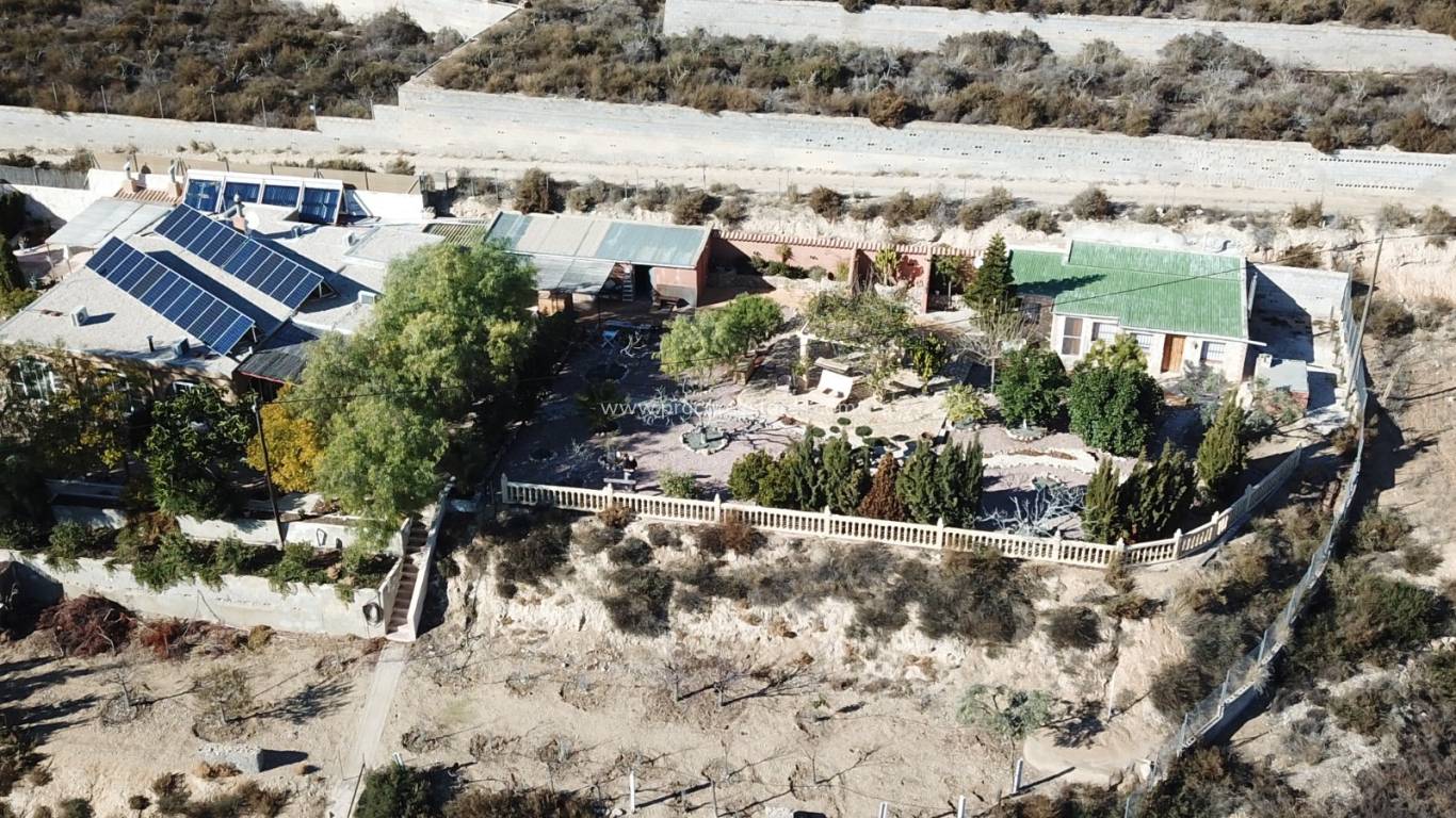 Reventa - Propiedad de campo - Crevillente