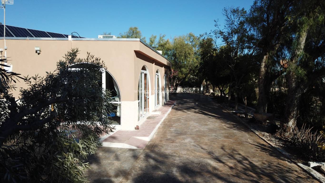 Reventa - Propiedad de campo - Crevillente