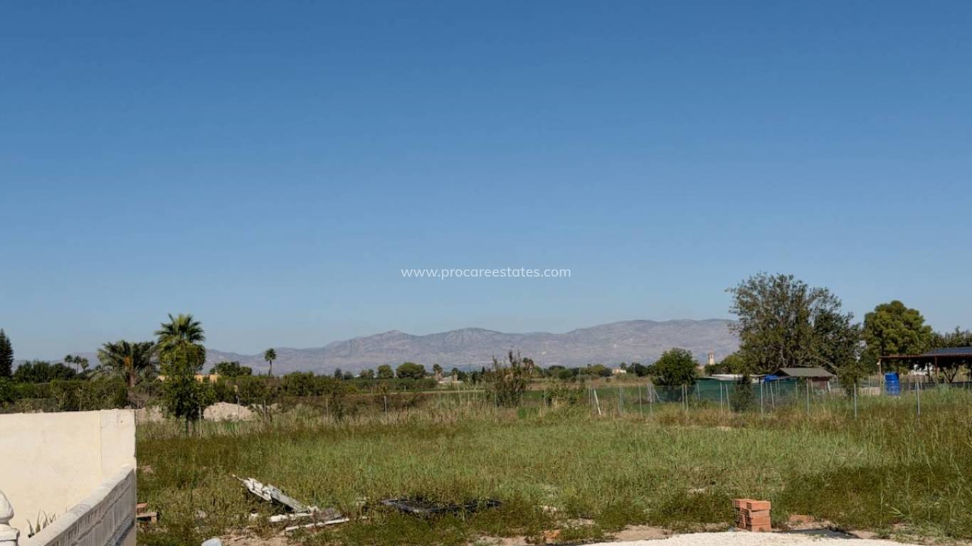 Reventa - Propiedad de campo - Dolores - Comunidad valenciana