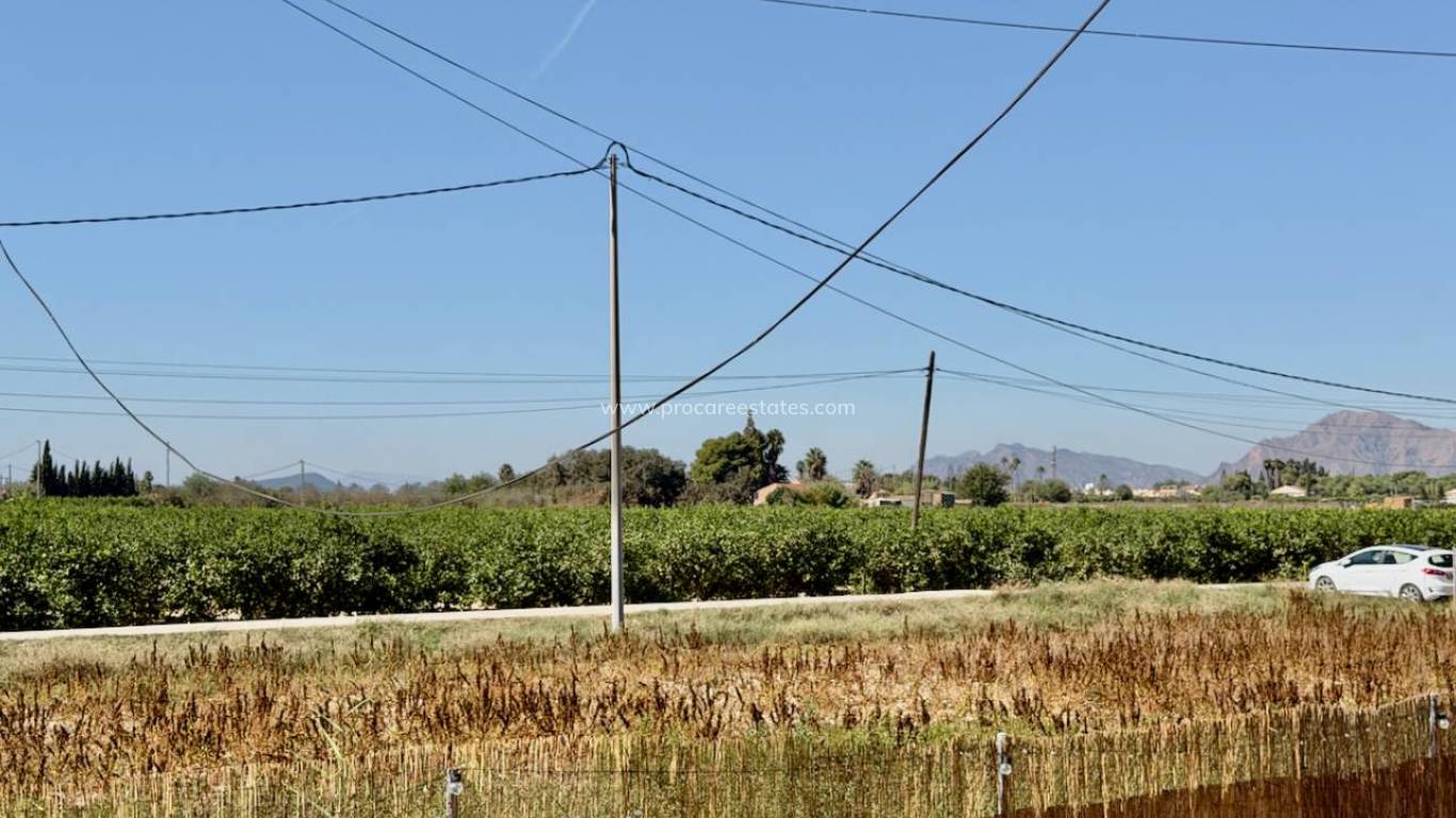 Reventa - Propiedad de campo - Dolores - Comunidad valenciana