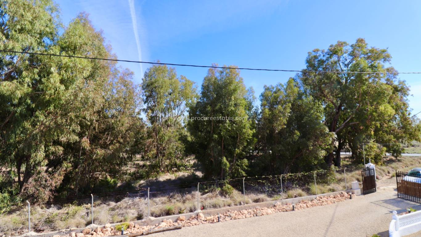 Reventa - Propiedad de campo - El Altet