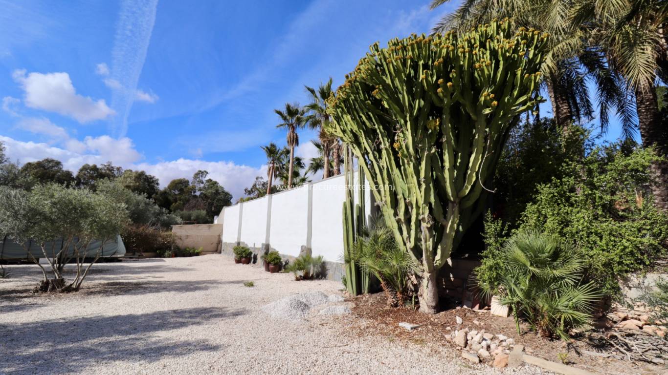 Reventa - Propiedad de campo - El Altet