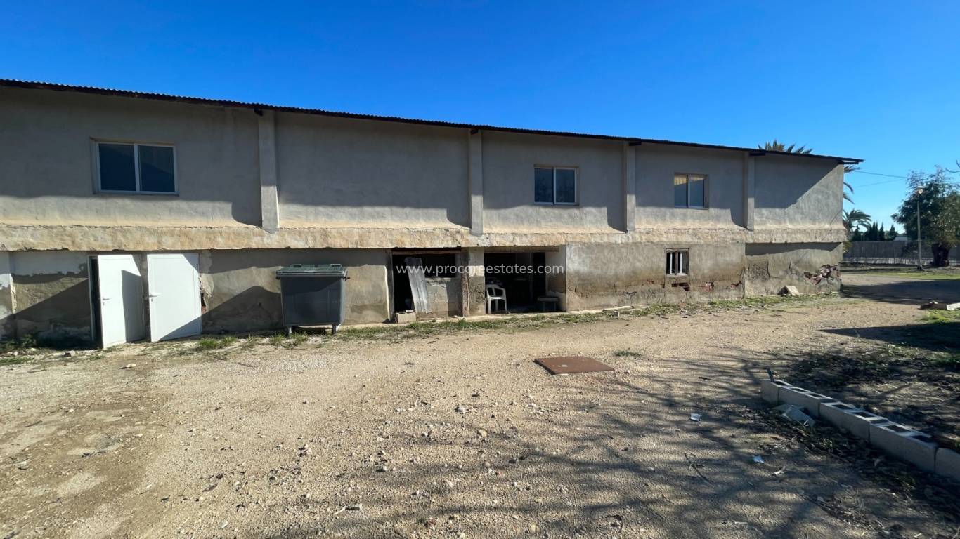 Reventa - Propiedad de campo - Elche