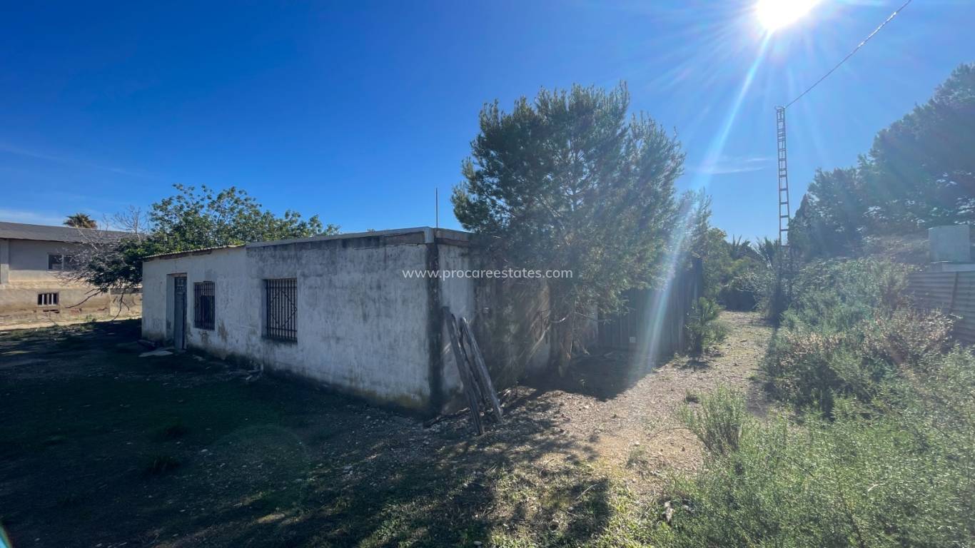 Reventa - Propiedad de campo - Elche