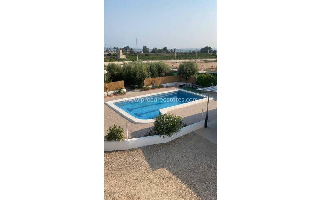 Reventa - Propiedad de campo - Guardamar del Segura - Guardamar Centro