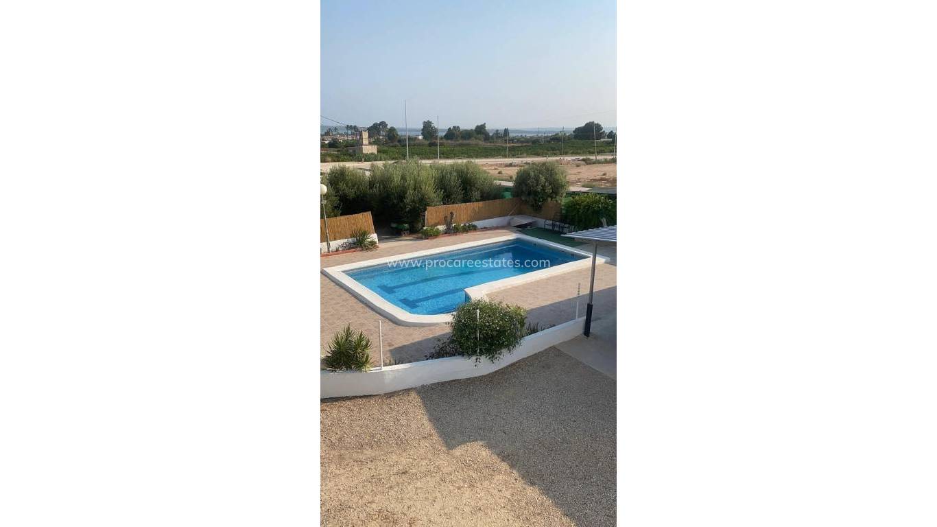 Reventa - Propiedad de campo - Guardamar del Segura - Guardamar Centro