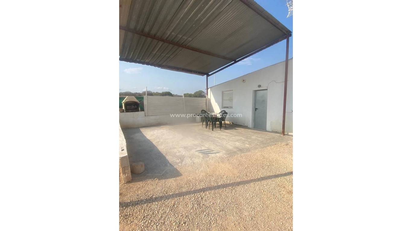 Reventa - Propiedad de campo - Guardamar del Segura - Guardamar Centro