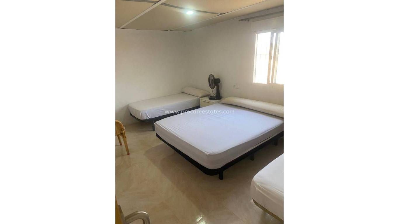 Reventa - Propiedad de campo - Guardamar del Segura - Guardamar Centro