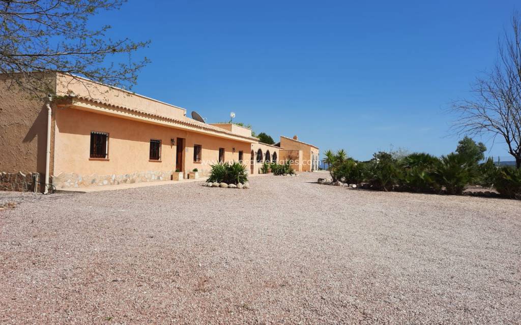 Reventa - Propiedad de campo - Monovar