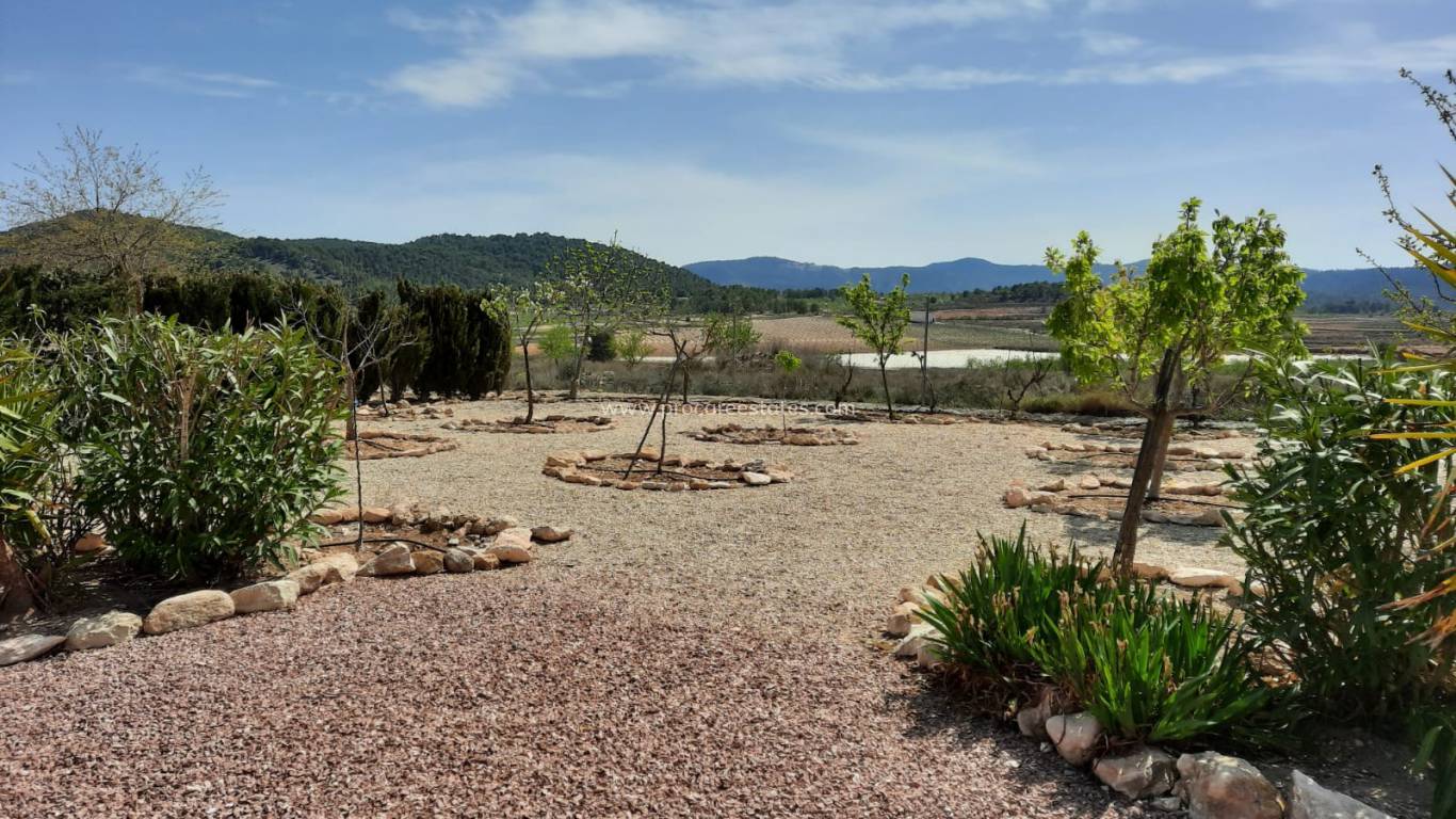 Reventa - Propiedad de campo - Monovar