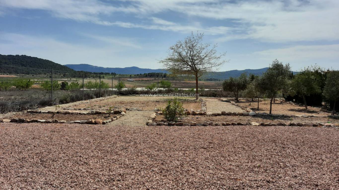 Reventa - Propiedad de campo - Monovar