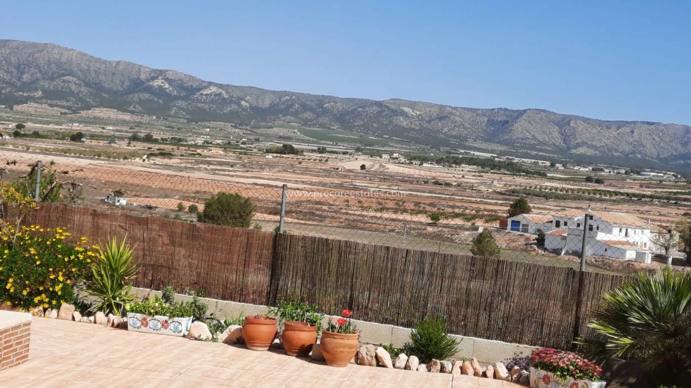 Reventa - Propiedad de campo - Monovar