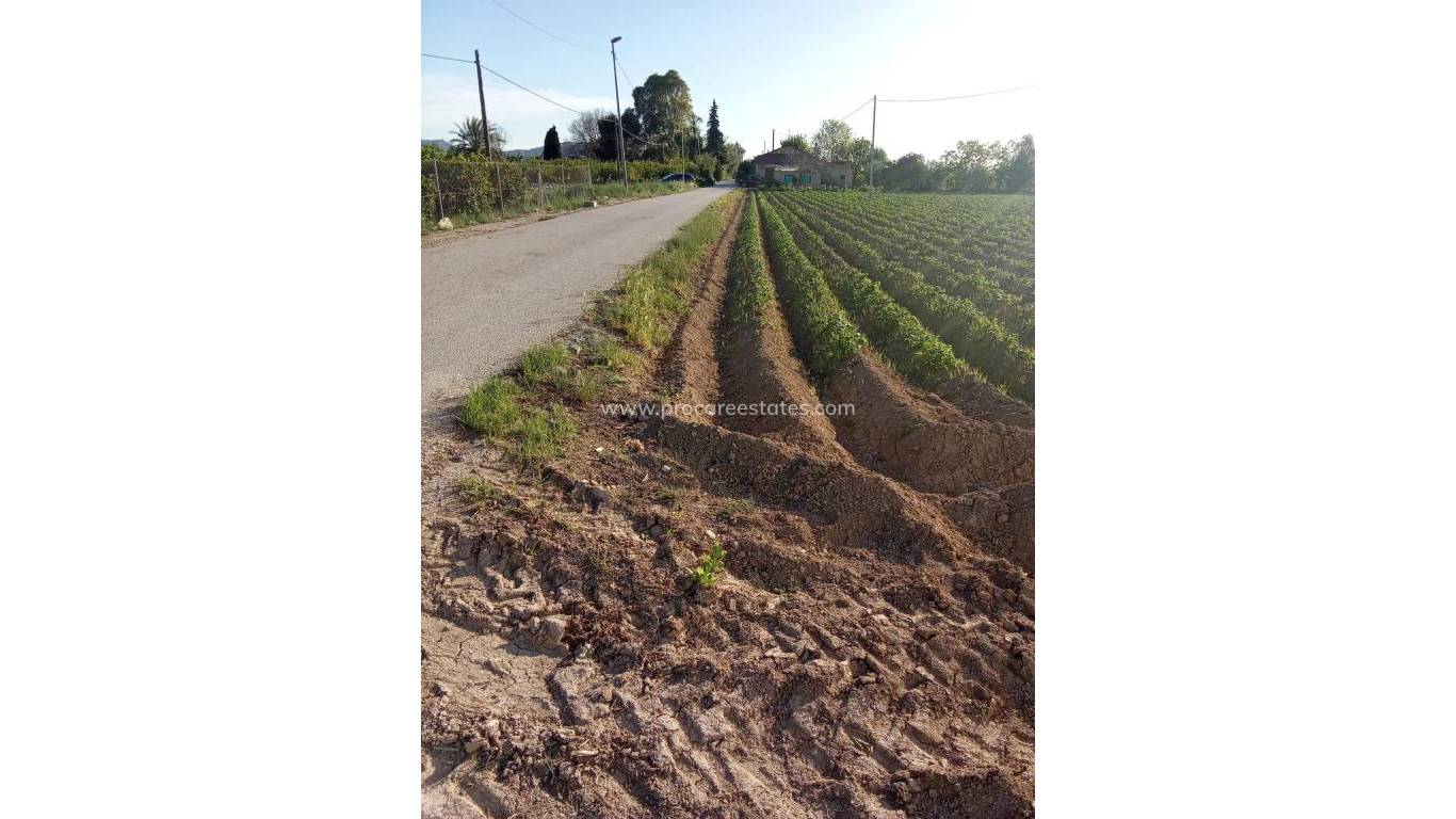 Reventa - Propiedad de campo - Orihuela - Correntías Bajas