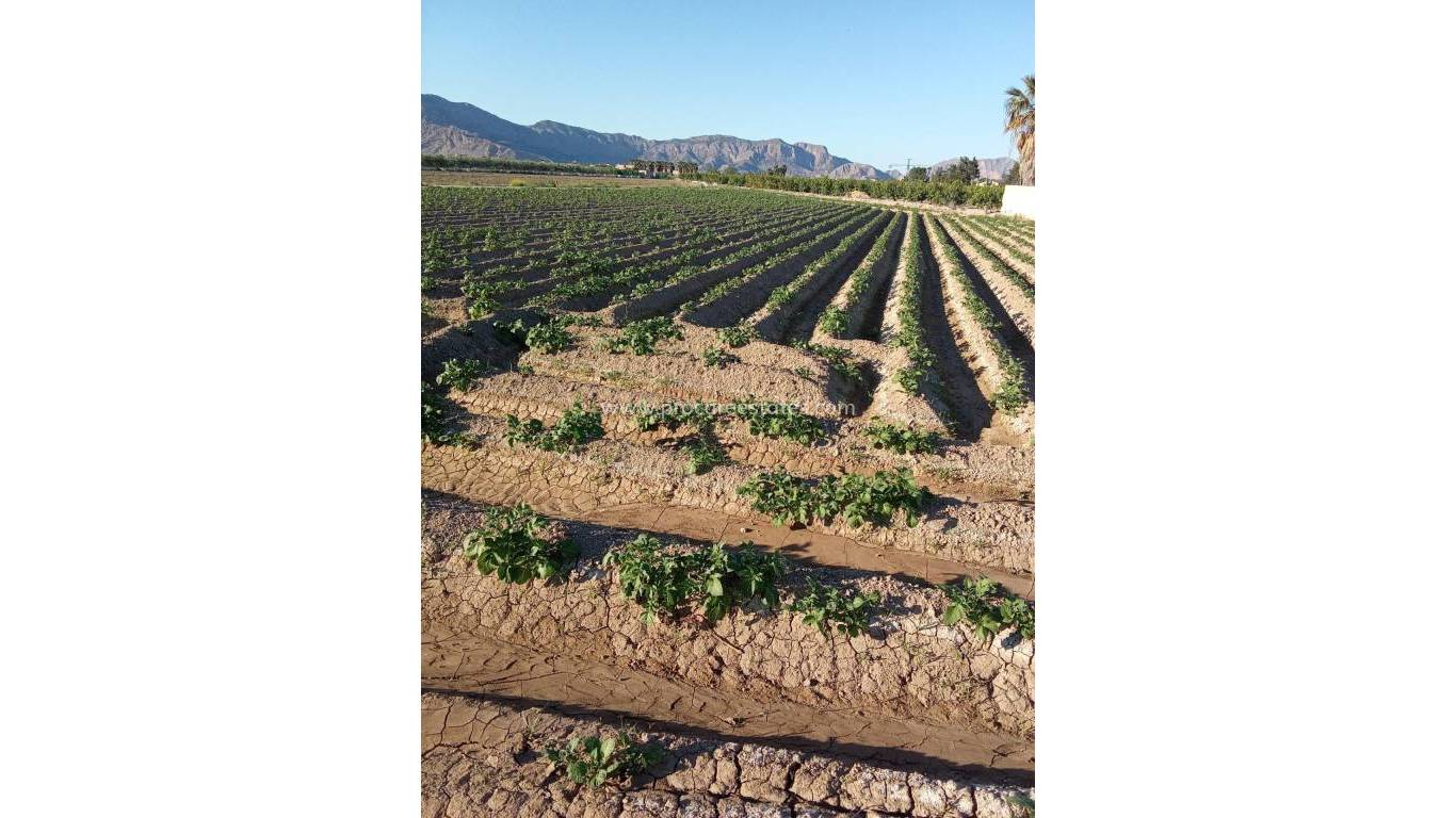 Reventa - Propiedad de campo - Orihuela - Correntías Bajas