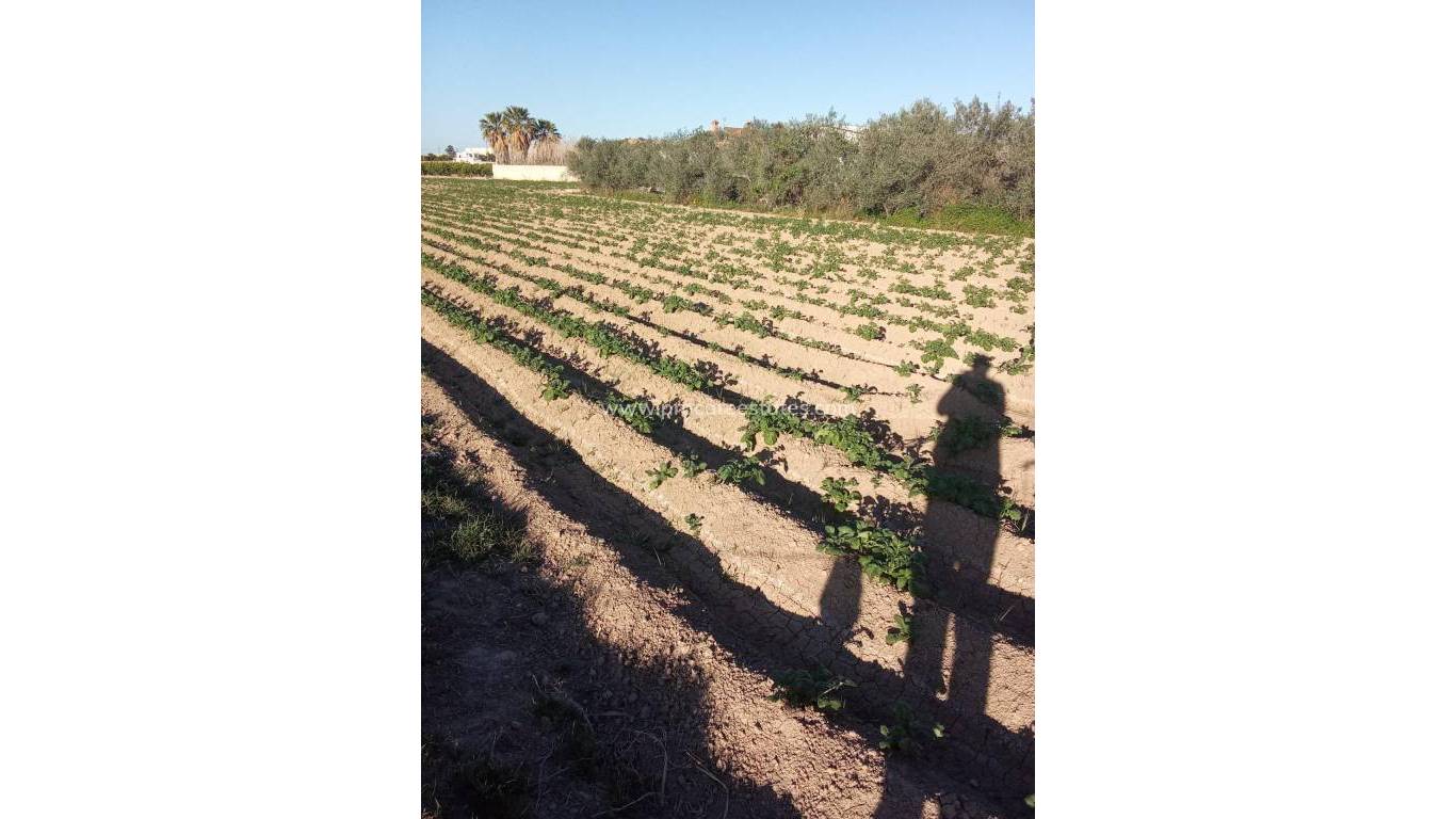 Reventa - Propiedad de campo - Orihuela - Correntías Bajas
