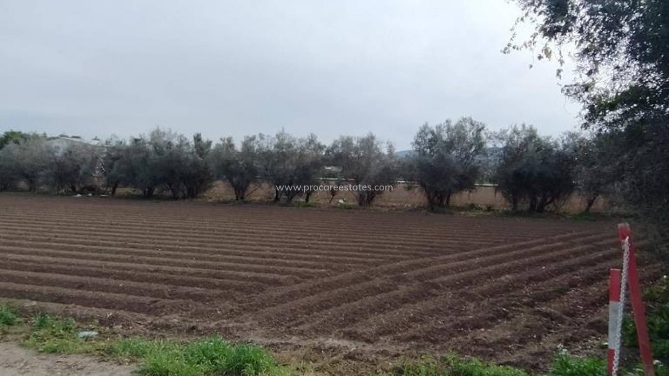 Reventa - Propiedad de campo - Orihuela - Correntías Bajas