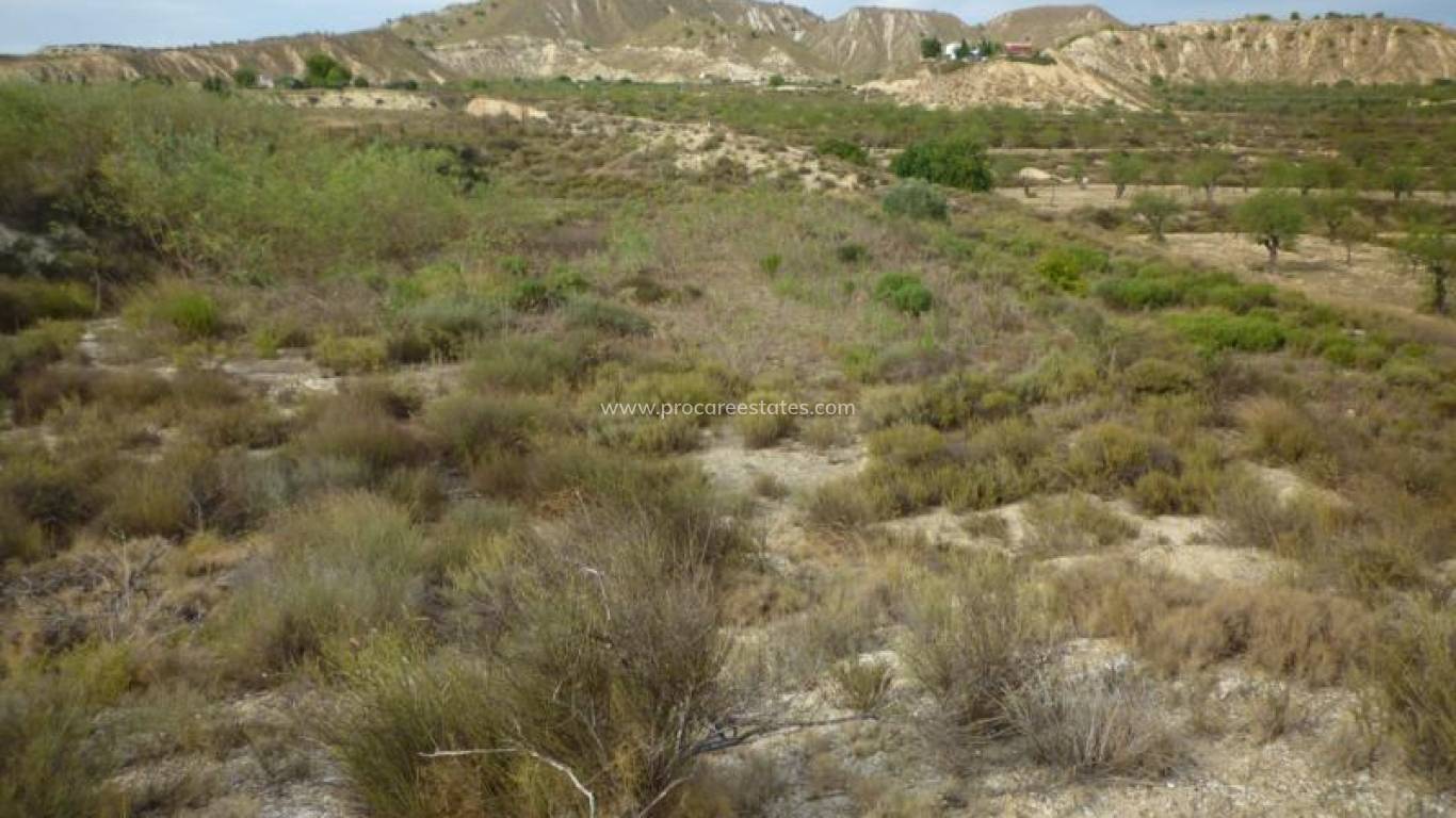 Reventa - Propiedad de campo - Orihuela - Desamparados-Hurchillo-Torremendo