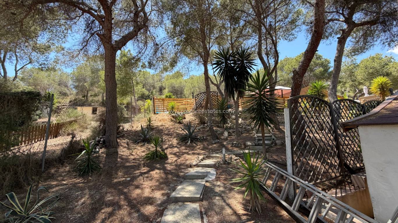 Reventa - Propiedad de campo - Orihuela - Torremendo