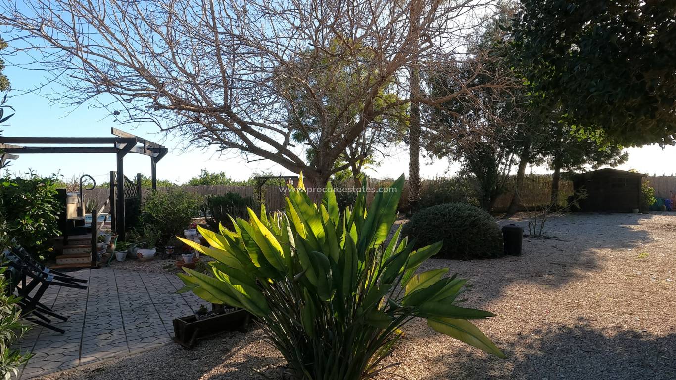 Reventa - Propiedad de campo - Orihuela