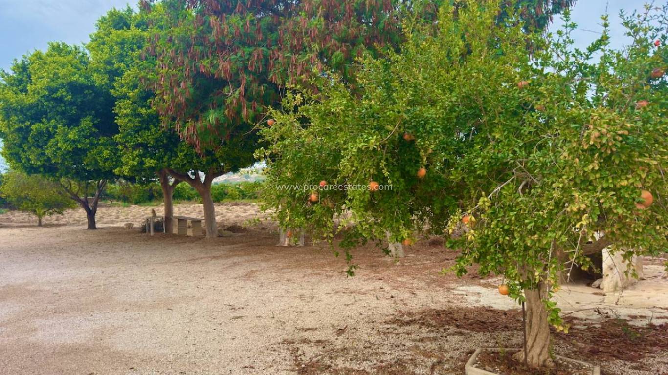 Reventa - Propiedad de campo - Rojales - Ciudad Quesada