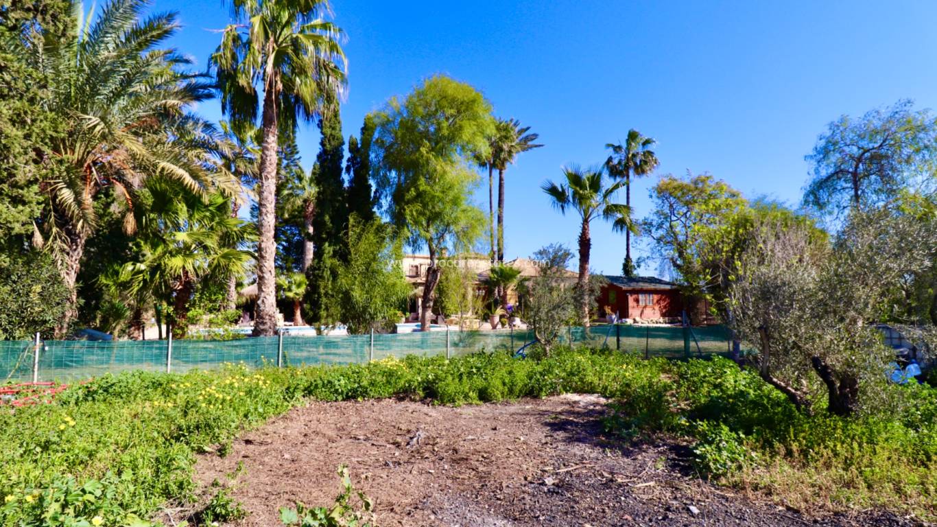 Reventa - Propiedad de campo - Rojales - Heredades