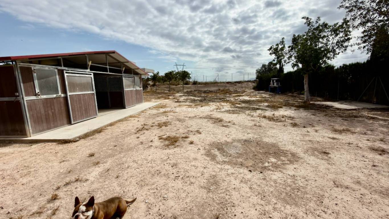 Reventa - Propiedad de campo - San Fulgencio - La Marina