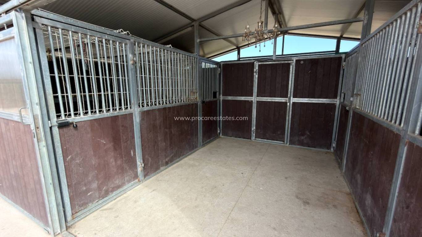 Reventa - Propiedad de campo - San Fulgencio - La Marina