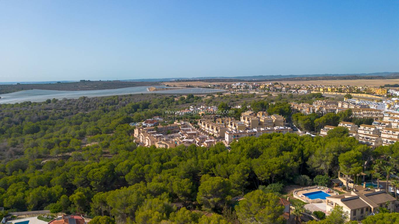 Reventa - Terreno - Algorfa