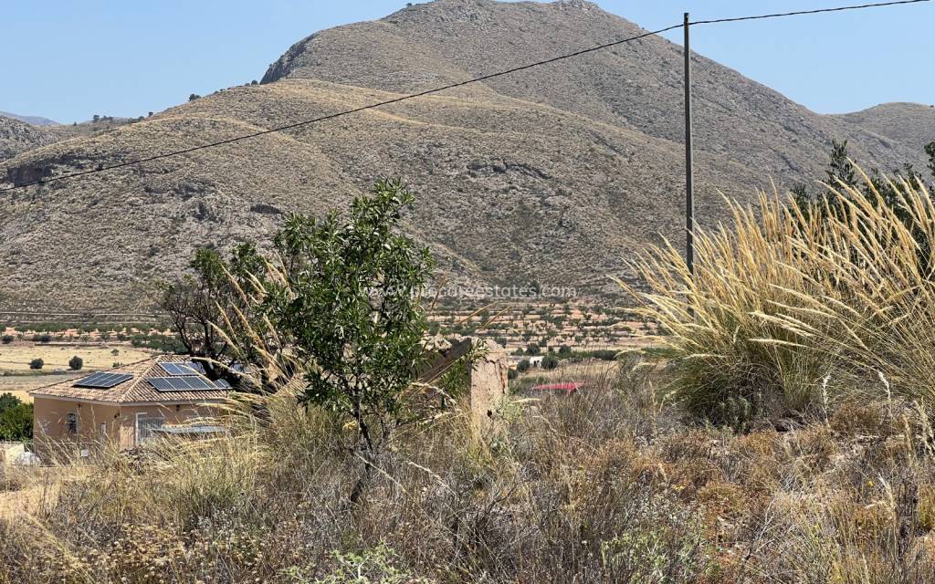 Reventa - Terreno - Barbarroja