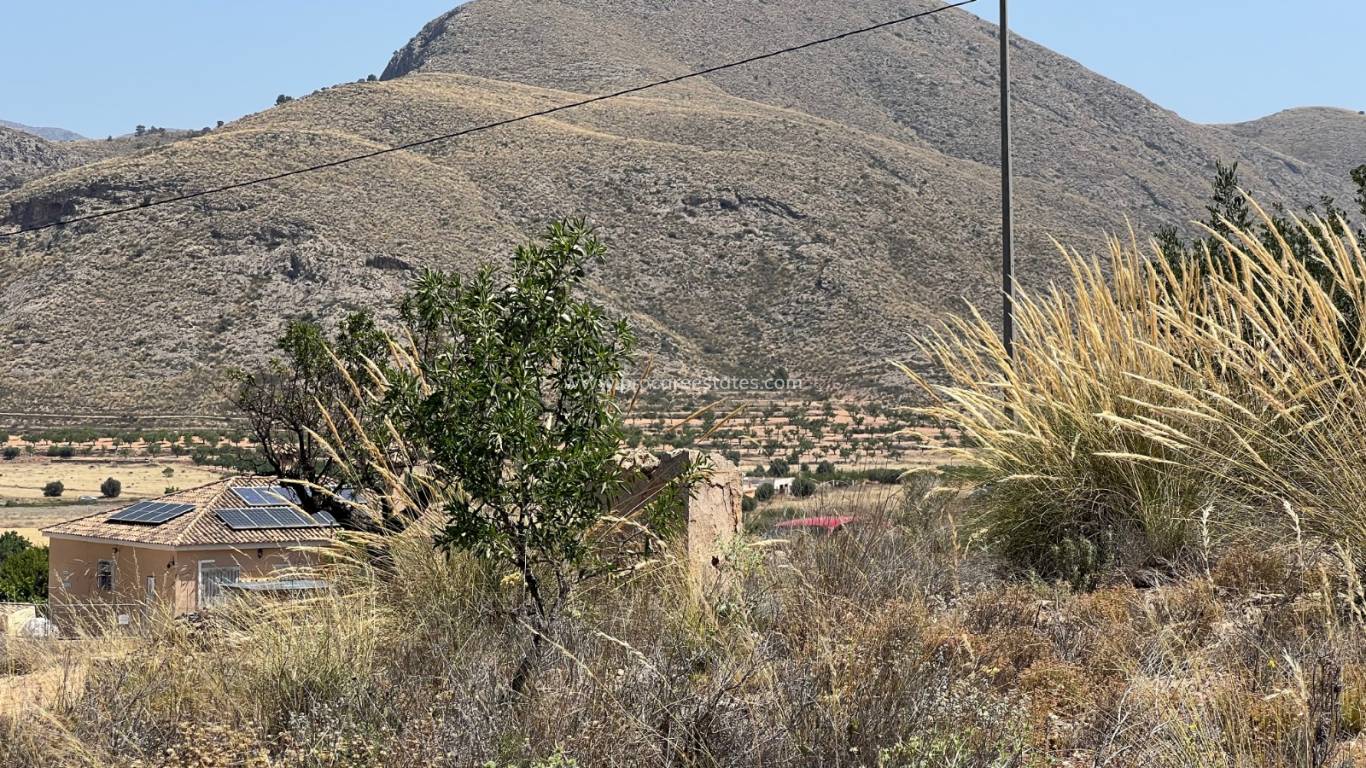 Reventa - Terreno - Barbarroja