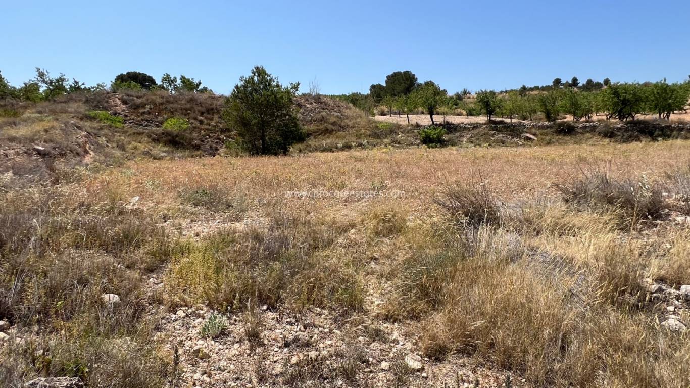 Reventa - Terreno - Barbarroja