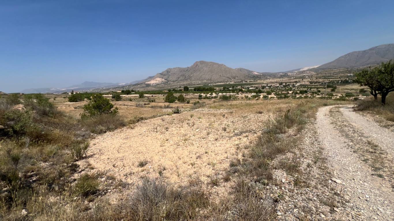 Reventa - Terreno - Barbarroja