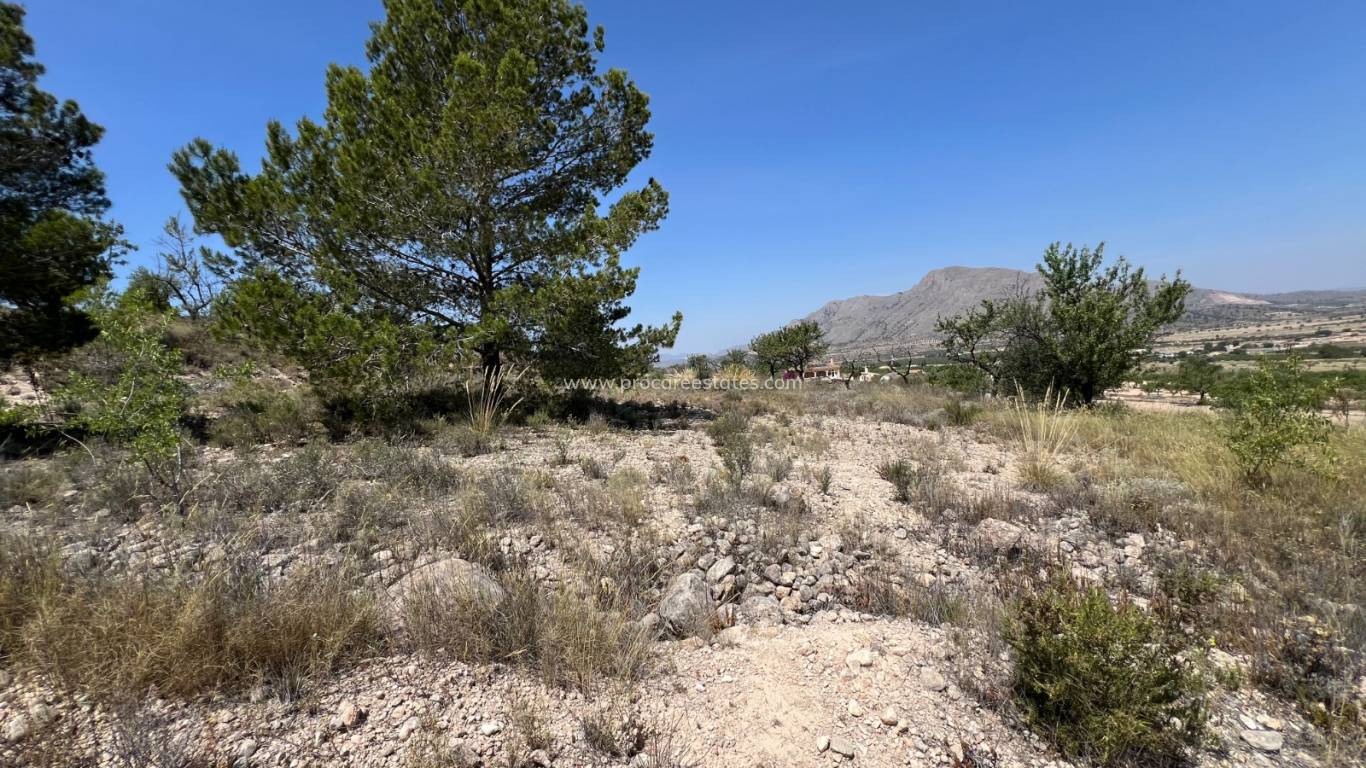 Reventa - Terreno - Barbarroja