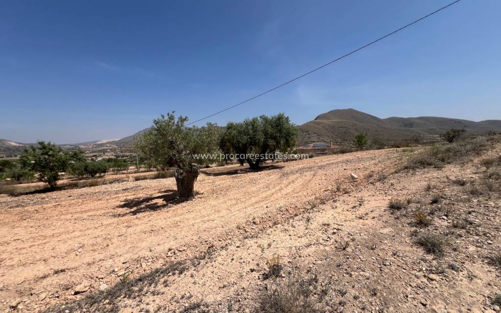 Reventa - Terreno - Barbarroja