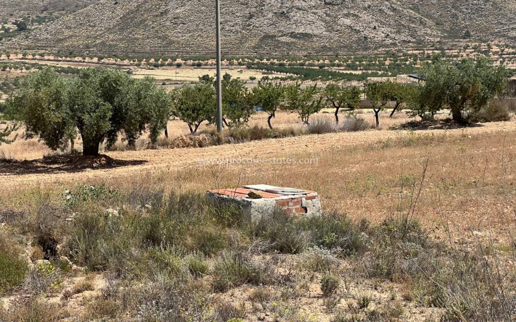 Reventa - Terreno - Barbarroja