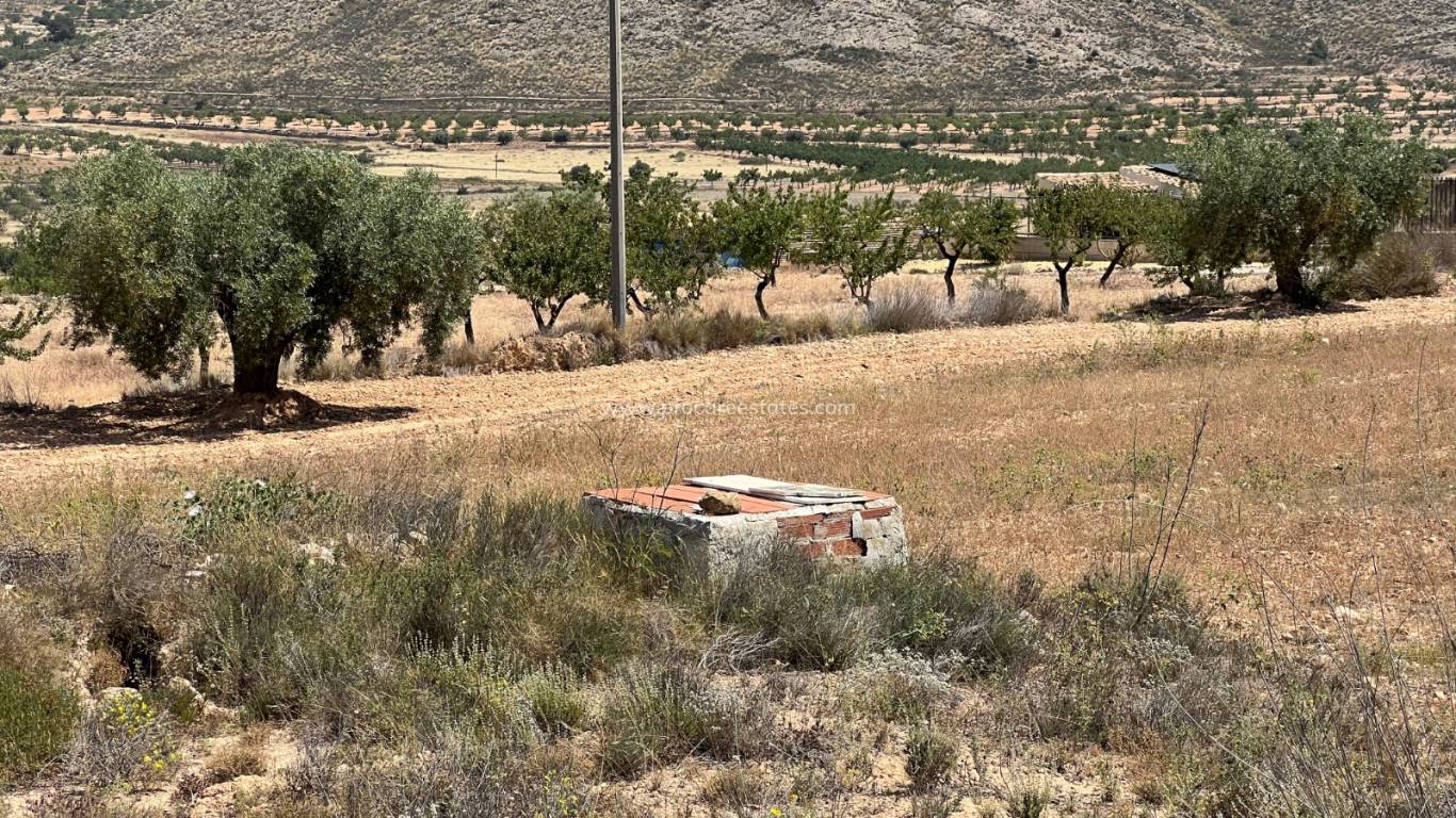 Reventa - Terreno - Barbarroja