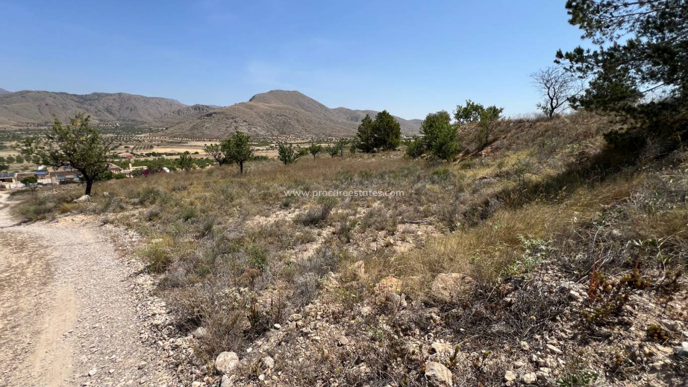 Reventa - Terreno - Barbarroja