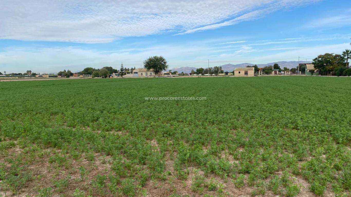 Reventa - Terreno - Dolores - CMNO. ESCORREDOR