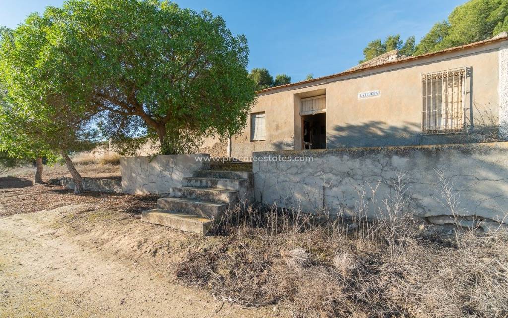 Reventa - Terreno - Pilar de la Horadada - Pinar de la Perdiz