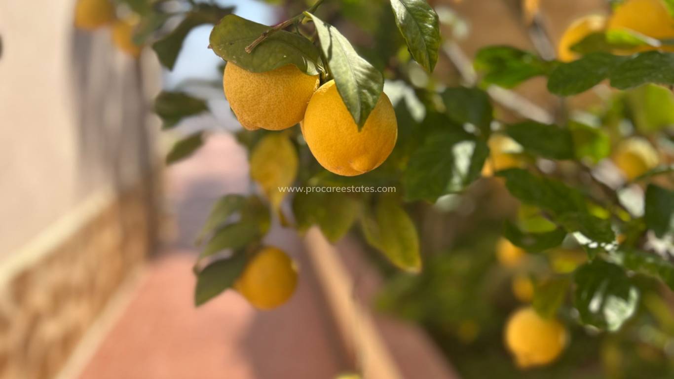 Reventa - Villa - Algorfa - Lomas de Juliana