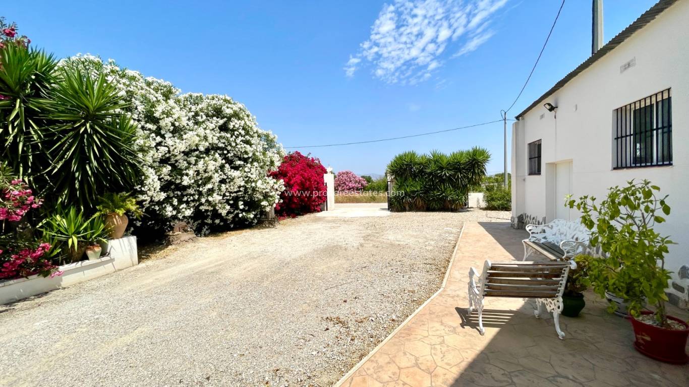 Reventa - Villa - Daya Nueva